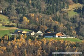 Steinwänder Gaisberg 03.jpg