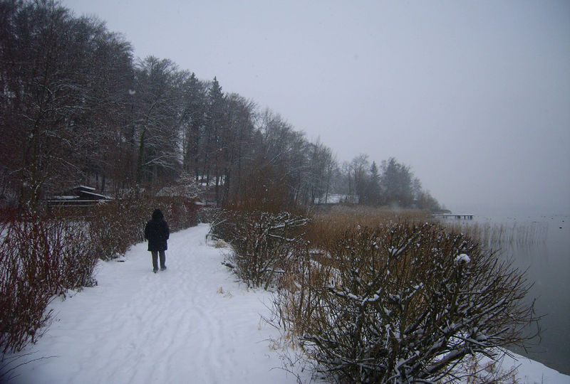 Datei:Uferweg R0010613.jpg