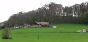 Weingartengut mit Kapelle.jpg