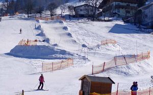 Hahnbaum05.jpg