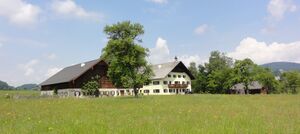 Oberdorfnergut in Thalgau.JPG