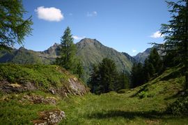 Schönalm weißpriach 29776 2016-07-10.jpg