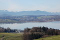 Seekirchen am Wallersee 122.jpg