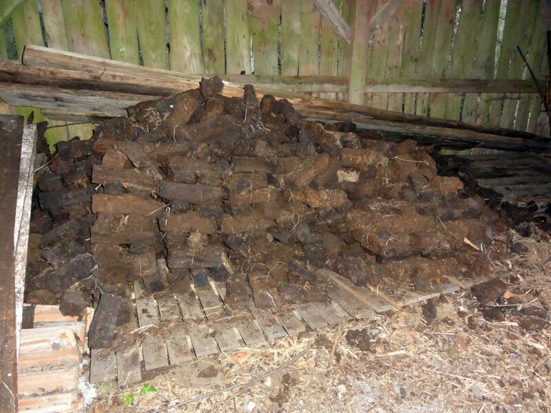 Datei:Torfziegel in Weidmoos.jpg