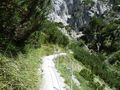 Birnbachloch, gesicherter Alpinsteig.jpg