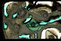 Vorschaubild der Version vom 17:51, 13. Dez. 2014
