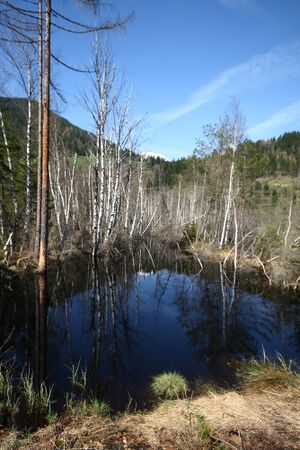 Mandlinger moor 69738 2018-04-18.jpg