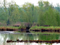 Vorschaubild der Version vom 20:21, 1. Jun. 2010