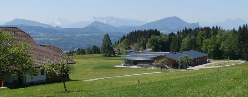 Datei:Grundner-Stallneubau am Thalgauberg.jpg