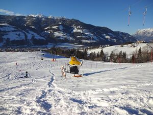 Hahnbaum-Schlepplift 02.jpg