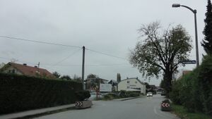Johann-Lugstein-Weg.jpg