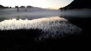 Seewaldsee 20201106 5.jpg