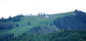 Zwölferhorn, Gipfelhang, Juli 2019.jpg