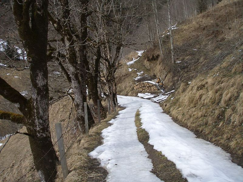 Datei:Bauernweg.jpg