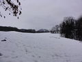 DSC02346.JPG