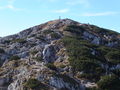 2005-10-15, Untersbergbilder, Salzburger Hochthron 119.jpg