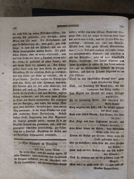 Datei:Die Sümpfe in Pinzgau.jpg