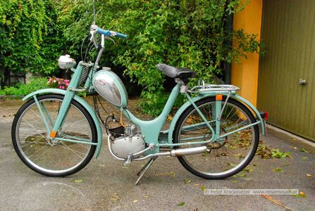 Halleiner Motorenwerk-Treffen 2010 04.jpg