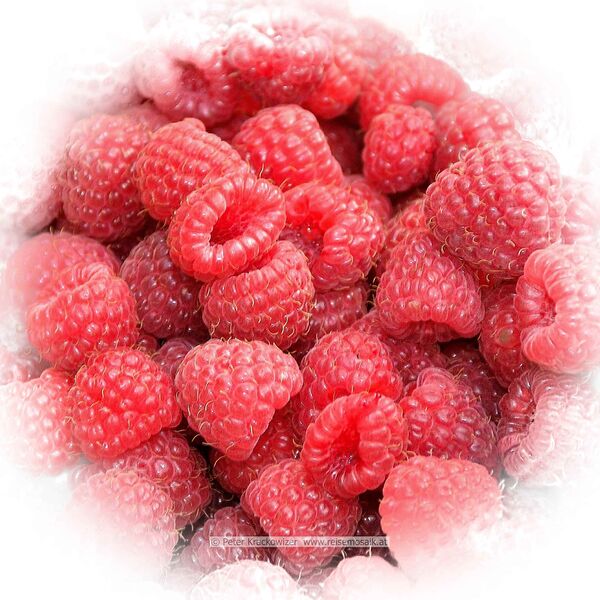 Datei:Himbeeren Herbst 2025.jpg