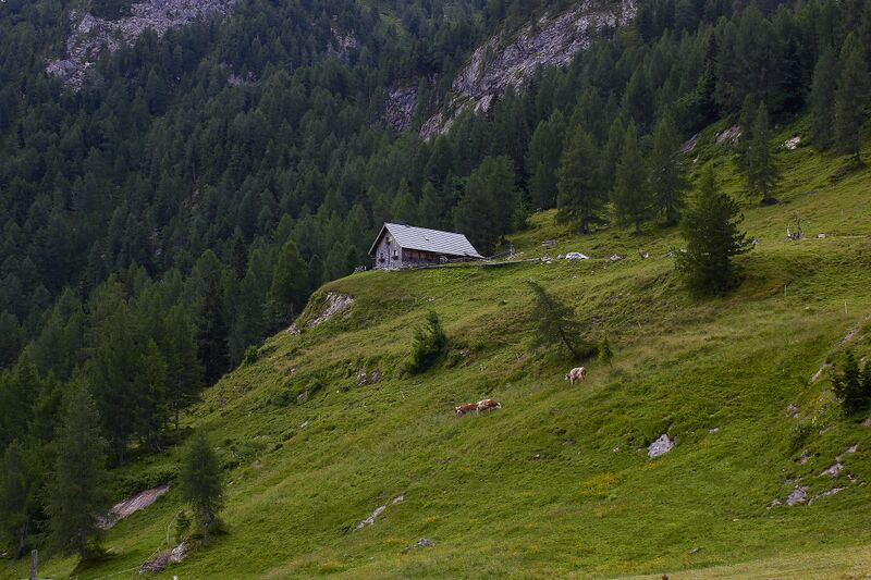 Datei:Müllnerbauerhütte-0222-2022-07-14.jpg