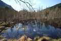 Mandlinger moor 69719 2018-04-18.jpg
