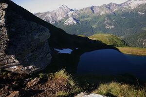 Twenger almsee 18353 2010-07-08.jpg