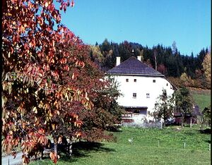 Goldegg in den 1960er Jahren 04.jpg