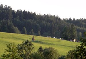 Sonnwendfeier am Bürstling.jpg