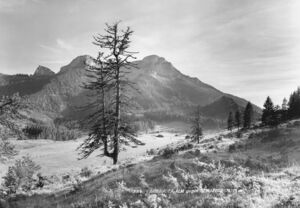 Schafberg Risch-Lau 10.jpg