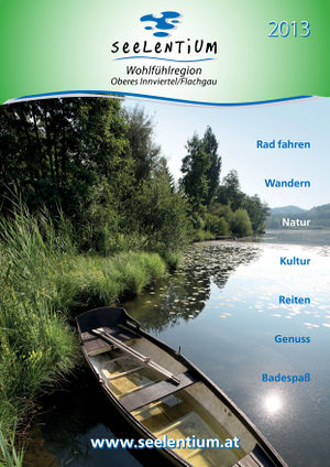Seelentium Katalog Titelbild 2013.jpg