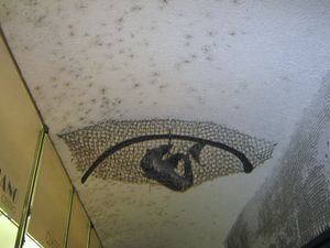 Fisch im Netz.jpg