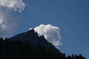 Forstautal, hinteres 63712 2013-07-23.jpg
