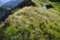 Seekarschneid obertauern 31248 2016-08-04.jpg