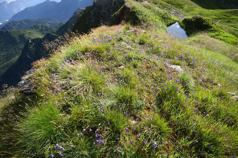 Datei:Seekarschneid obertauern 31248 2016-08-04.jpg