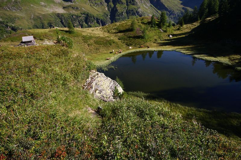 Datei:Gralatisee 32909 2016-08-25.jpg
