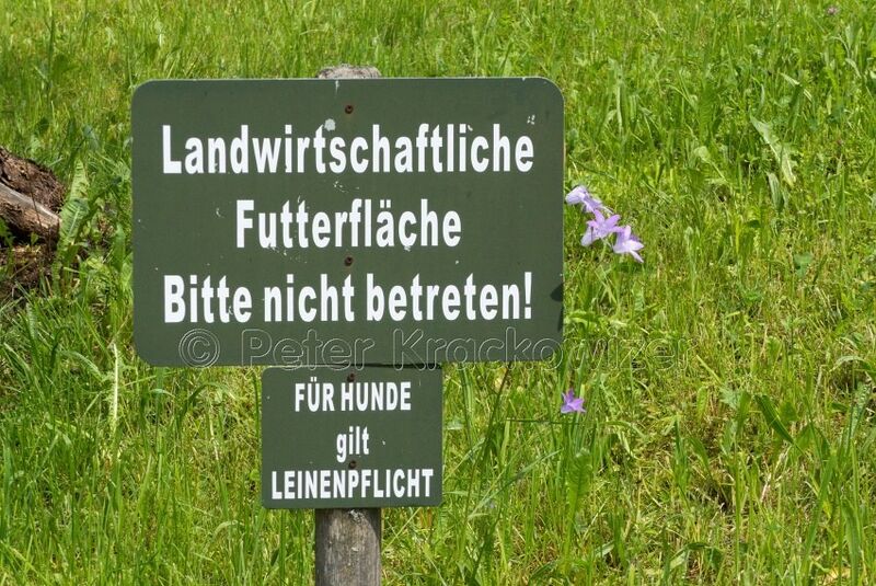Datei:Hunde-Leinenpflicht in Mattsee.jpg