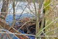 2023 12 26 Biberbau Sighartsteiner Weiher 02.jpg