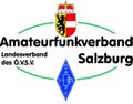 AFVS logo 001.jpg
