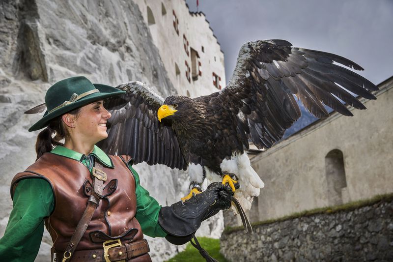 Datei:Falknerei Burg Hohenwerfen.jpg