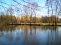 Kleßheimteich PC140026.JPG
