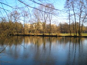 Kleßheimteich PC140026.JPG