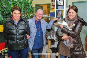 Tierheim Hallein 2011 01.jpg