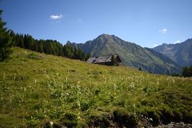 Toni Mörtl Hütte 29718 2016-07-10.jpg