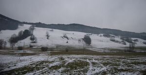 Winterliche Oberwangimpression.jpg