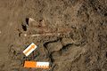 Archäologische Grabungen in Pfongau 2015 01.JPG