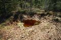 Mandlinger moor 69710 2018-04-18.jpg