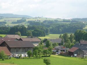 Oberhofen mit sommerholz 014.jpg