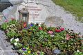 2025 04 02 Johann Rosenlechner Grab Neumarkt Friedhof.jpg