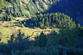 Gollinganger lessachtal 33830 2016-08-25.jpg