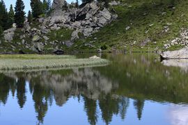 Lacken weißpriach 29539 2016-07-10.jpg